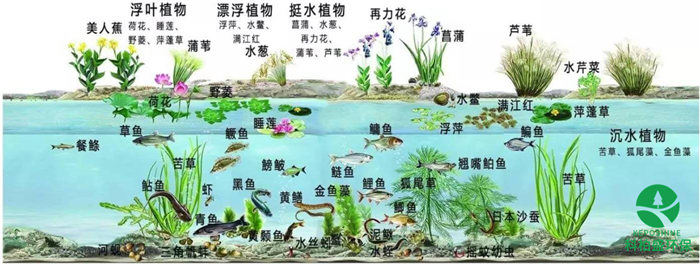 ��ʱKB88��(�й���)�ٷ���վ