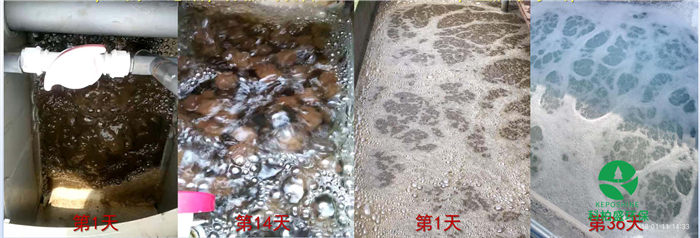 ��ʱKB88��(�й���)�ٷ���վ