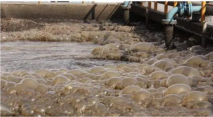 ��ʱKB88��(�й���)�ٷ���վ