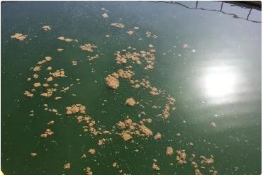 ��ʱKB88��(�й���)�ٷ���վ