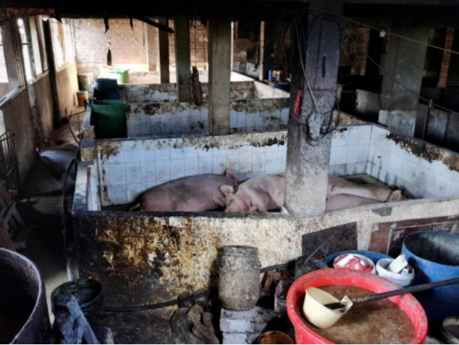 ��ʱKB88��(�й���)�ٷ���վ