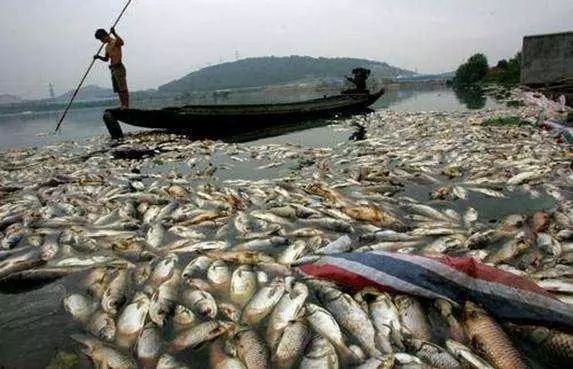 ��ʱKB88��(�й���)�ٷ���վ